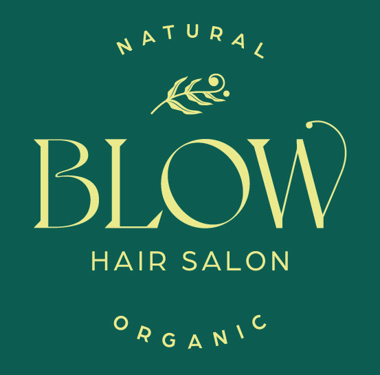 Logo Blow Hair Salon